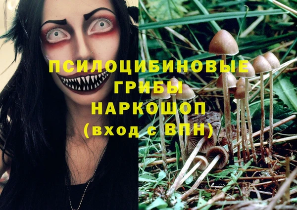 меф Инта