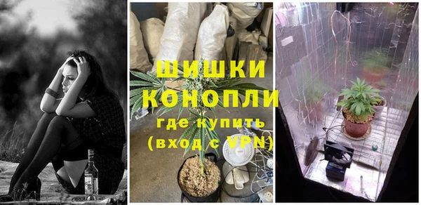 меф Инта