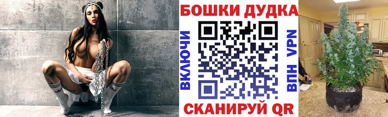 Купить где  Городец  Каннабис конопля 